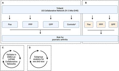 Differential risks of psoriatic arthritis development in patients with varied psoriasis manifestations: a sex- and ethnicity-specific analysis